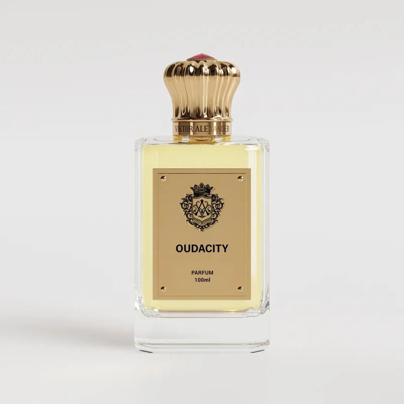 OUDACITY 100ML Parfums